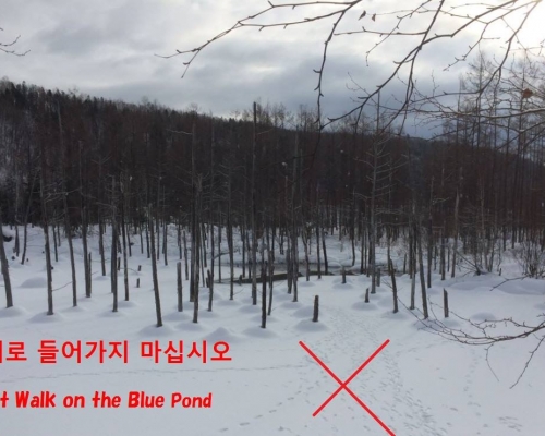 湖面上白茫茫的積雪留下一個個腳印。美瑛町觀光協會fb專頁