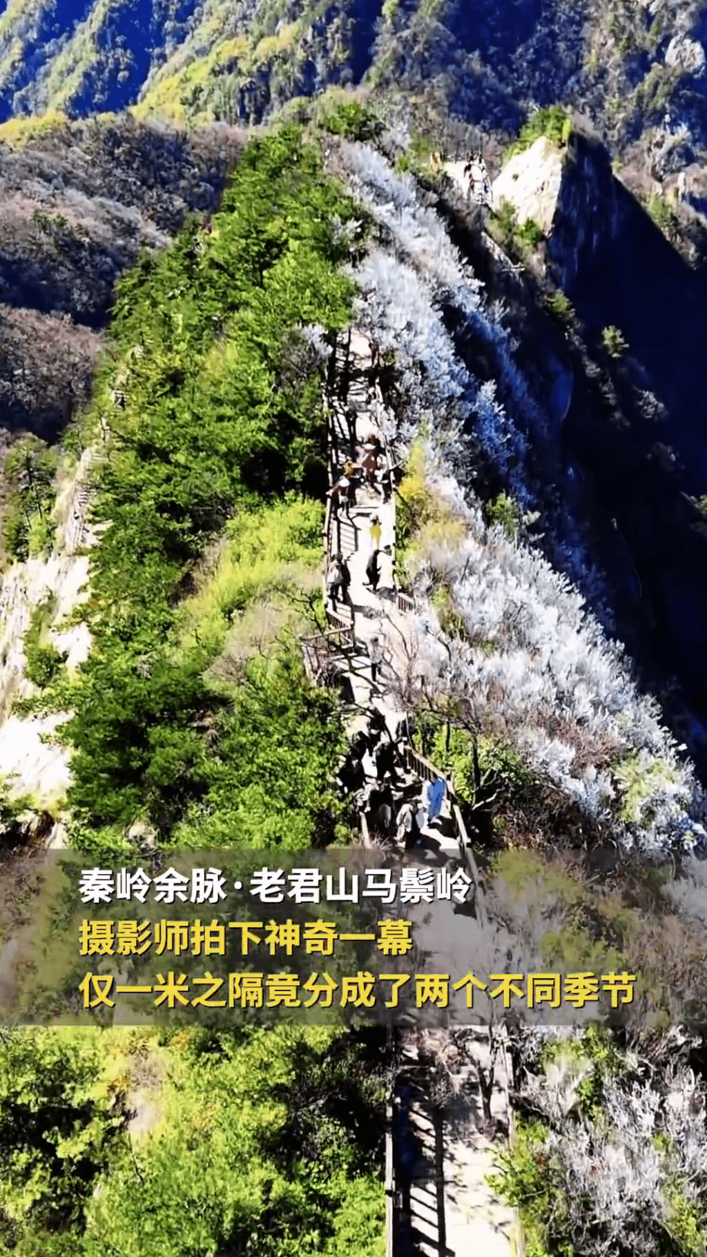 老君山「陰陽分界」再現。  老君山「陰陽分界」再現。