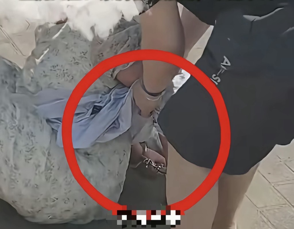 河南女子被強制帶走治療。抖音@有你不孤單 河南女子被強制帶走治療。抖音@有你不孤單