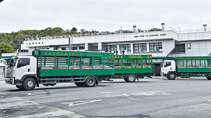 當日昨日為跨境貨車司機共進行1677次快測,當中發現2宗初陽個案。資料圖片