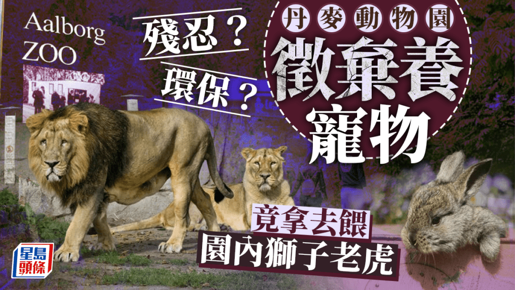 丹麥的Aalborg動物園發起了一項獨特倡議,呼籲公眾捐贈健康但不想要的寵物,不過園方不是用來收養,而是拿去餵養其圈養的掠食者。