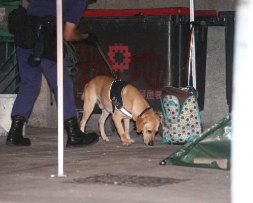警方派出搜索犬調查。