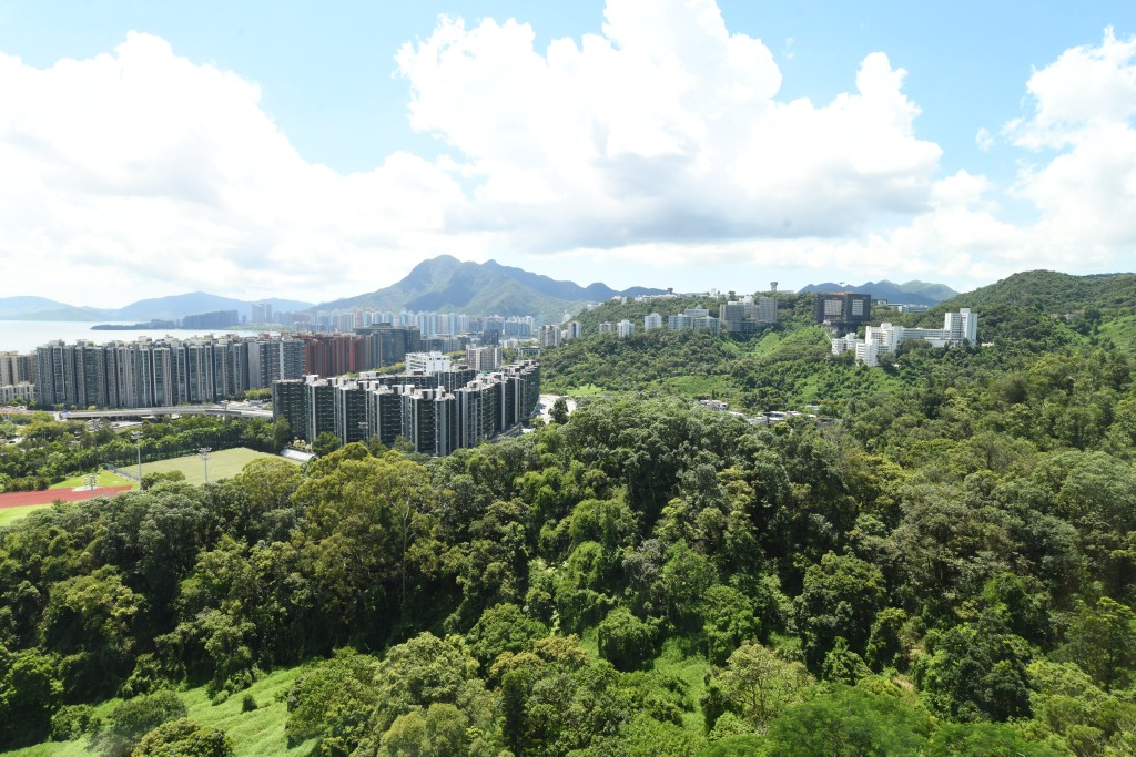 住户在单位内可欣赏室外绿意盎然美景，有助让住户心旷神怡。