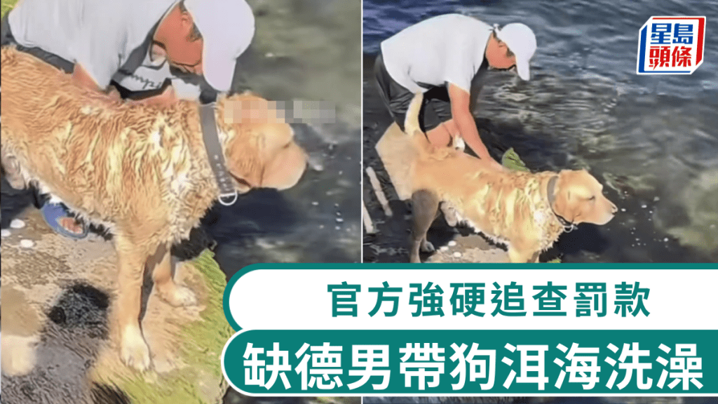 缺德男帶狗遊大理，洱海邊幫狗洗澡。 網片截圖