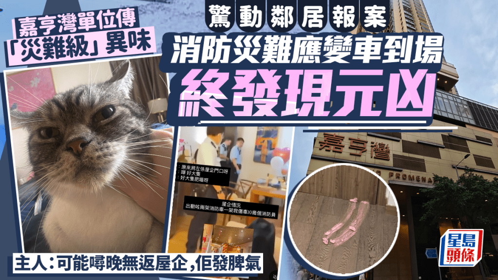 筲箕湾嘉亨湾单位传「灾难级」异味 惊动邻居报案 屋主网上揭来源竟是「它」