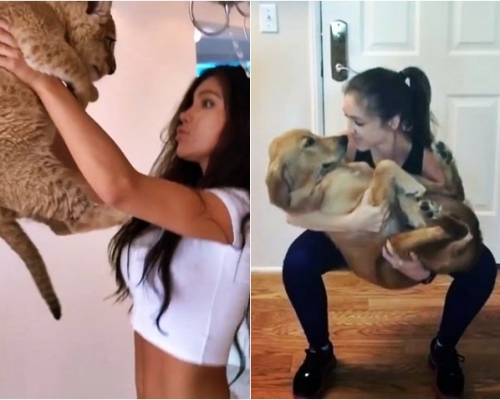 有無興趣抱狗狗玩深蹲挑戰?網圖