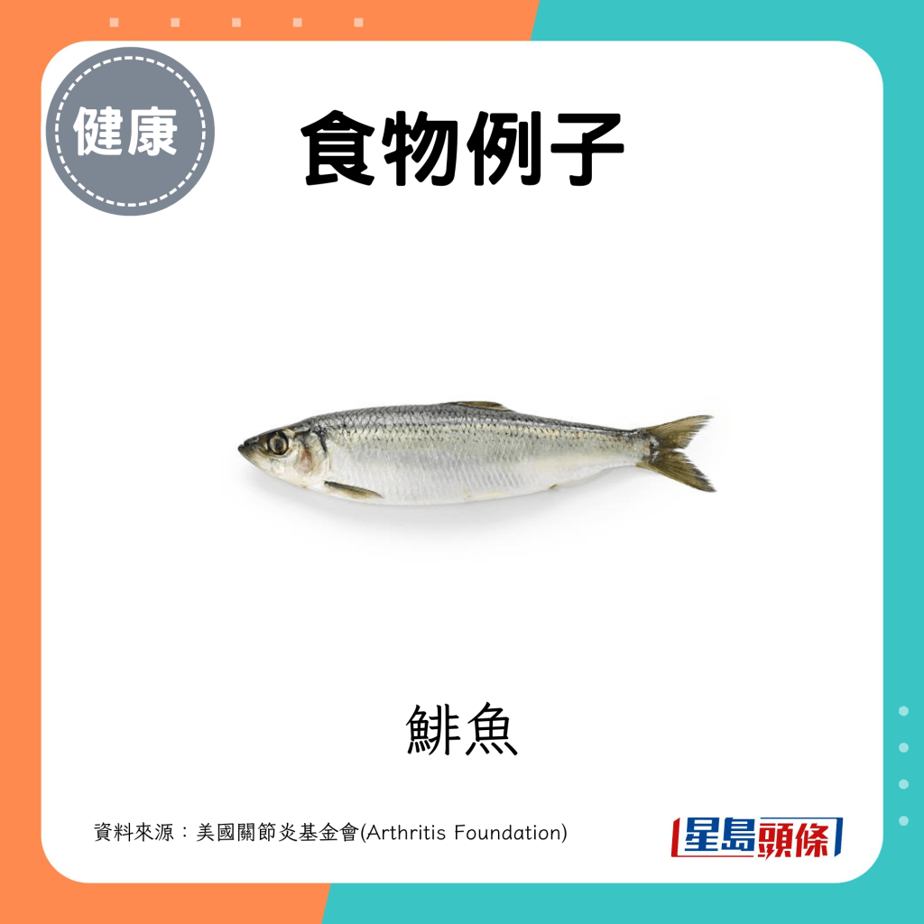 鯡魚