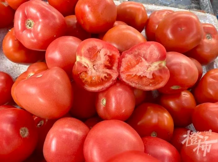 蕃茄價格不斷上漲。都市快報