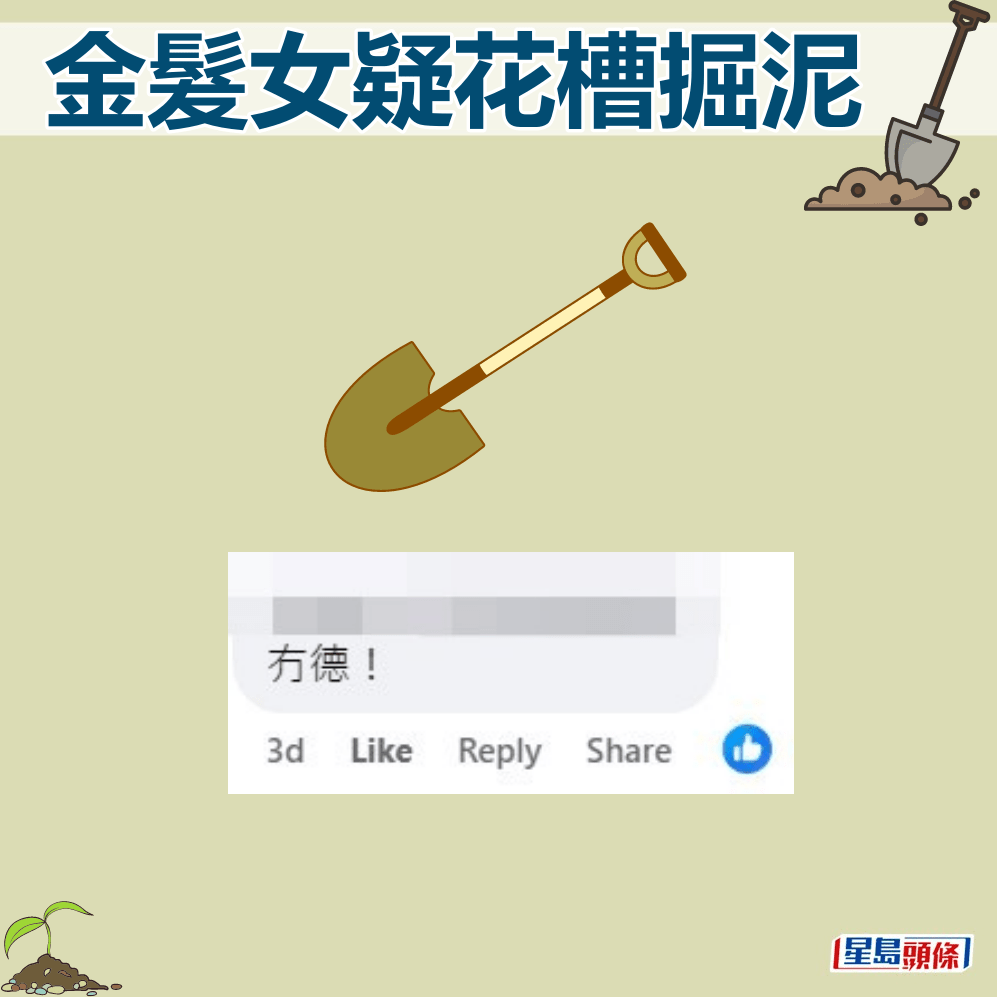 网民：冇德。fb“筲箕湾西湾河关注组”截图