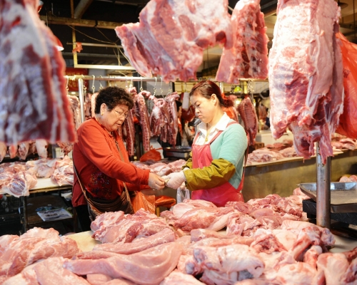 內地豬價今年以來下跌了60%。新華社資料圖片