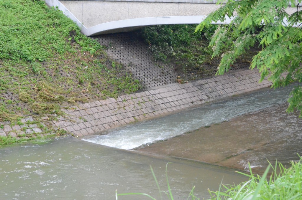 大埔碗窰一带及大埔河大雨过后常出现水浸。资料图片