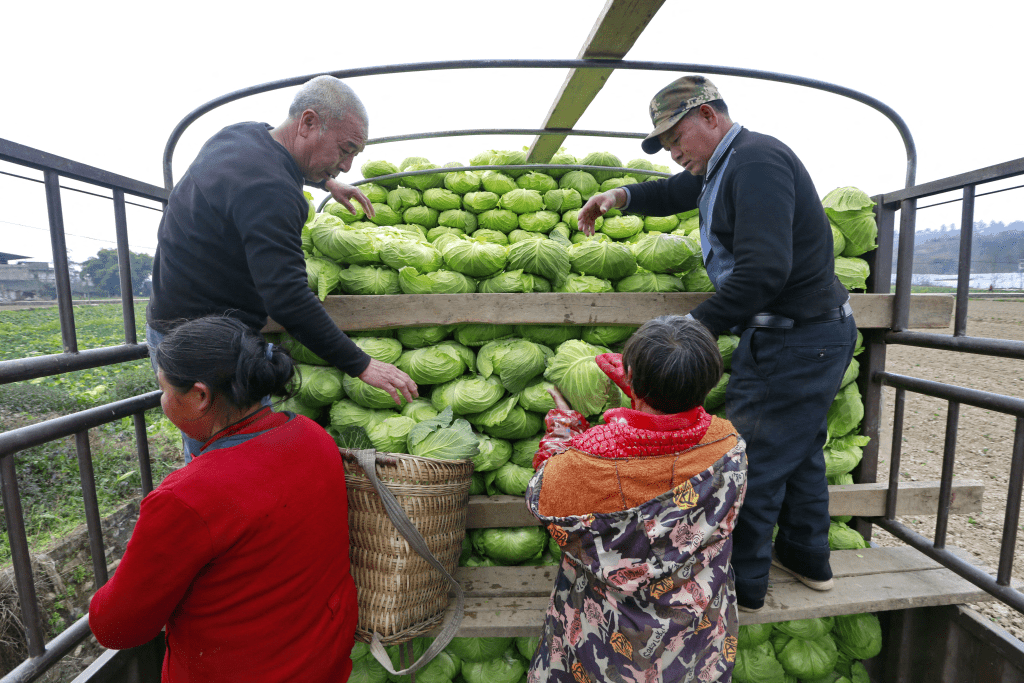 中國對美國水果、蔬菜加徵10%關稅。 路透社