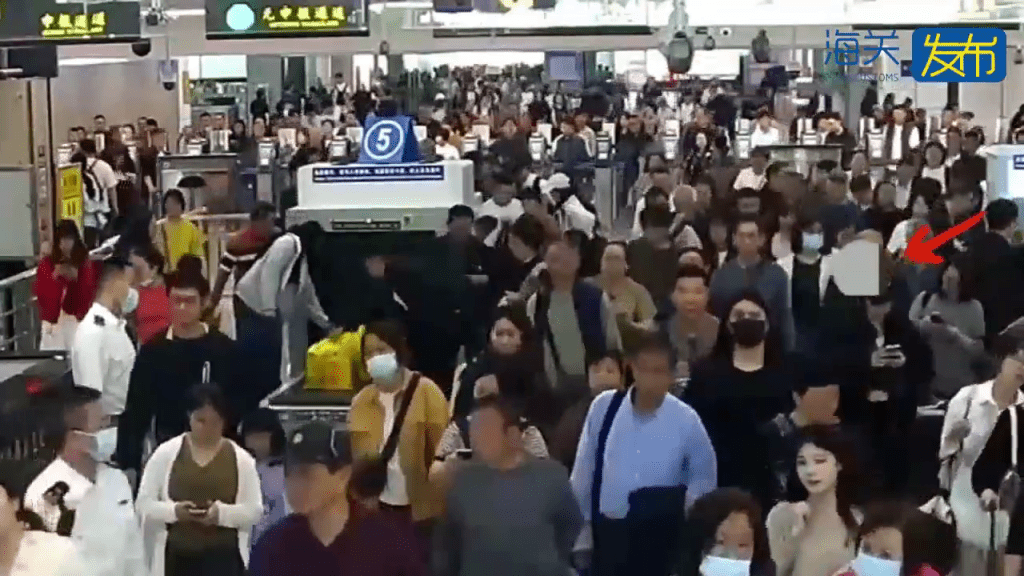 男子拱北口岸过关神色异常遭截查，关员检出50只活体蜥蜴。 