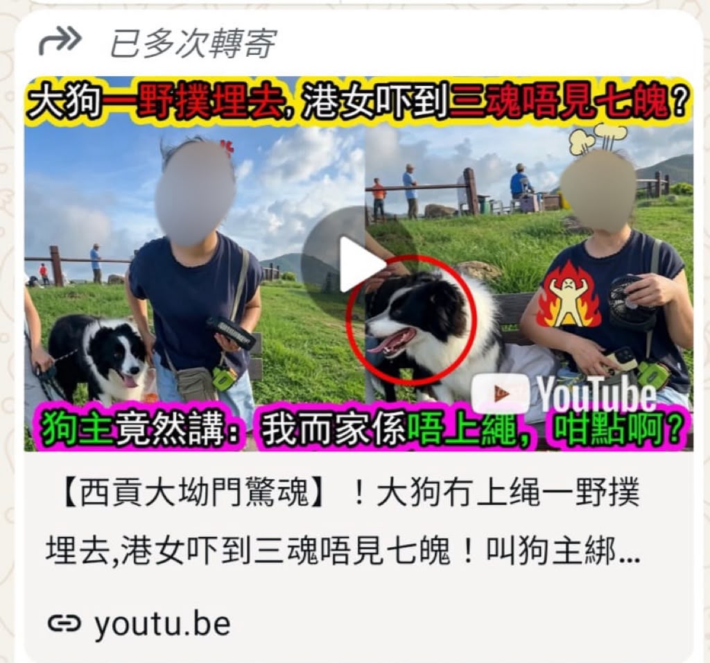 涉事情侶其後將片段上載社交平台，標題又刻意抹黑。（受訪者提供）