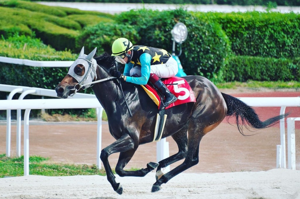 日本中央競馬協會近日亦指出，從本月2日開始已經聯繫不上角田大河。