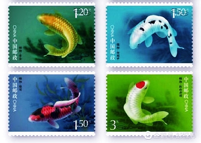 網圖