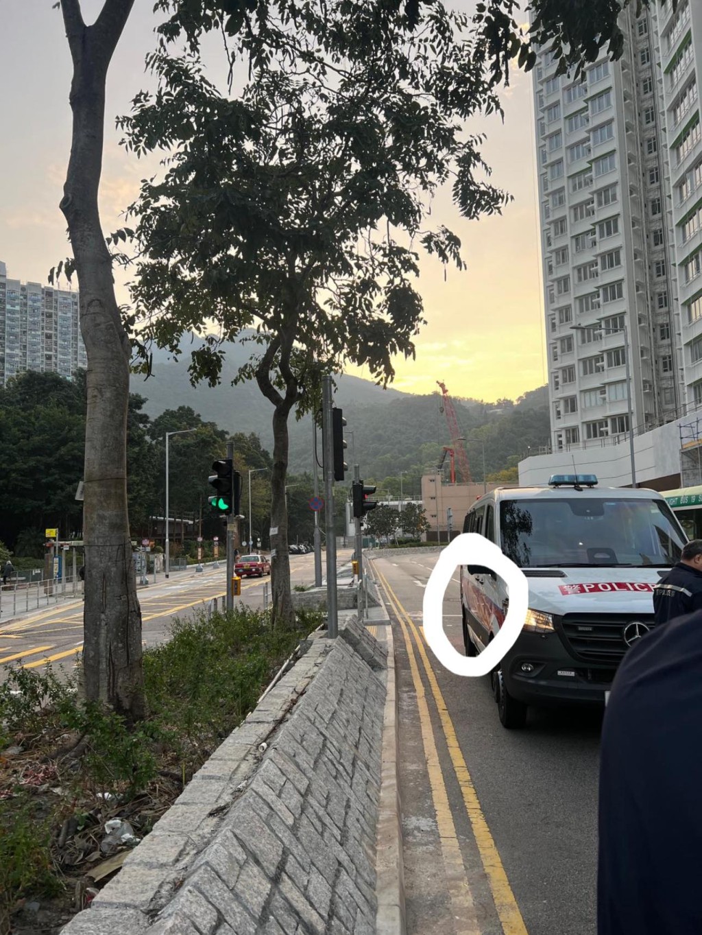 現場為馬鞍山恆泰路臨近迴旋處出口的士站斑馬線位。fb「貓貓狗狗保護及領養區(香港)」Kray Ronald圖片