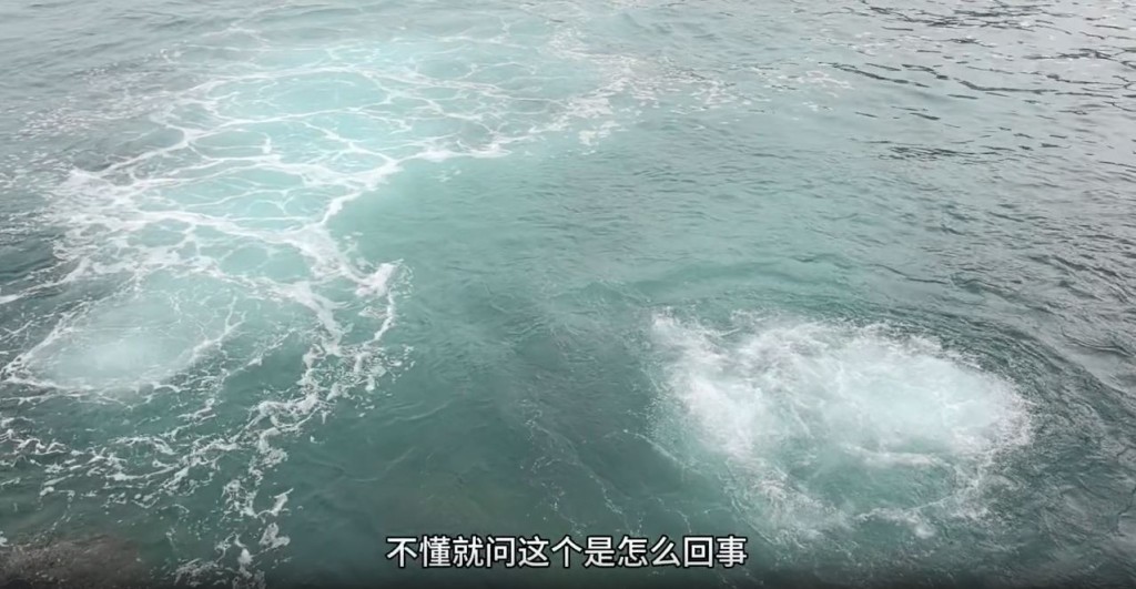 短片中甫開首樓主坦言「不懂就問這個是怎麼回事」。（圖片來源：小紅書@Nicolas）