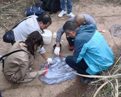 研究員等人前往百花鎮野雞坡現場考察,證實發現侏羅紀晚期恐龍腳印化石。(網圖)
