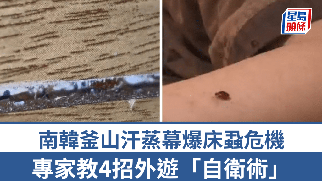 南韩釜山汗蒸幕爆床虱危机，专家教4招外游「自卫术」。
