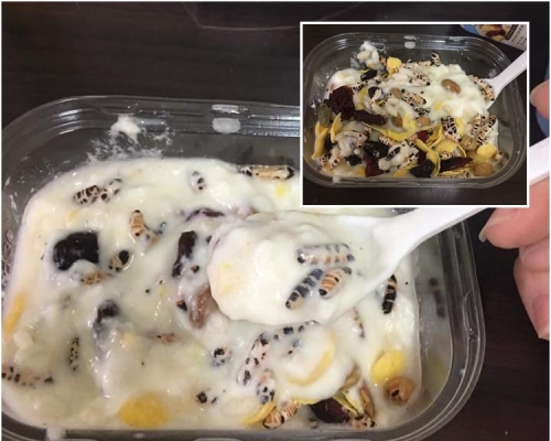 網友指,這款乳酪看起來像有一種吃蟲蟲的感覺。網圖