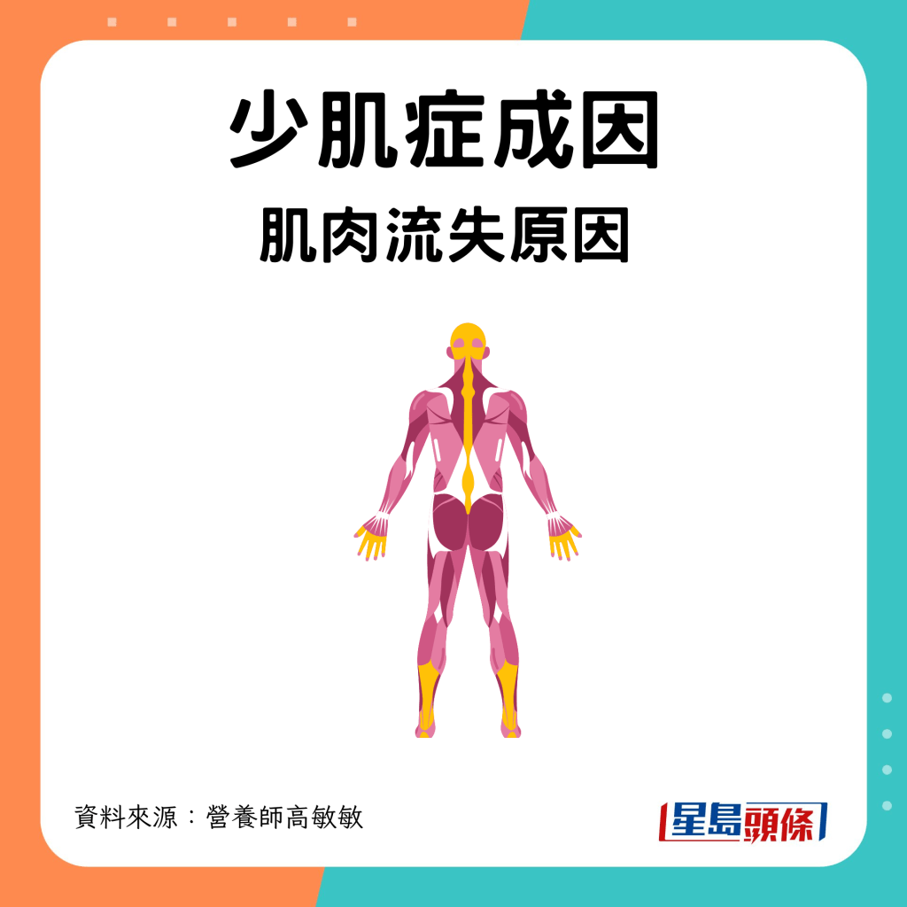 少肌症成因 肌肉流失原因