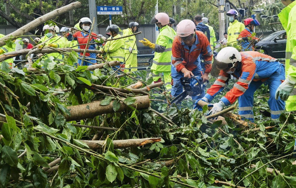 海南海口，環衛工人在海府一橫路清理被台風颳斷的樹枝，恢復交通。 中新社