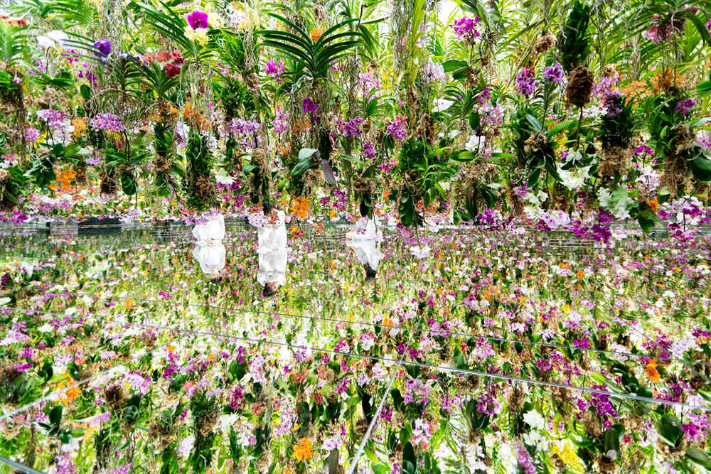 澳門teamLab 3大全新展覽空間之1｜漂浮的花園 ── 花朵與我同根同源，花園與我合為一體