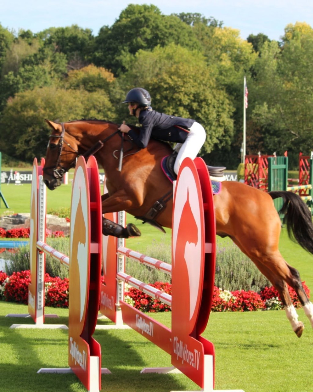 St Teresa’s Equestrian是學校專屬的馬術學校,還是小馬俱樂部中心。(圖片來源:學校官網) St Teresa’s Equestrian是學校專屬的馬術學校,還是小馬俱樂部中心。(圖片來源:學校官網)