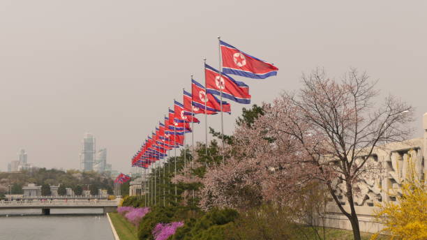 北韓是全球最早採取嚴格防疫管理措施的國家之一，於2020年年初開始暫停遊客入境。