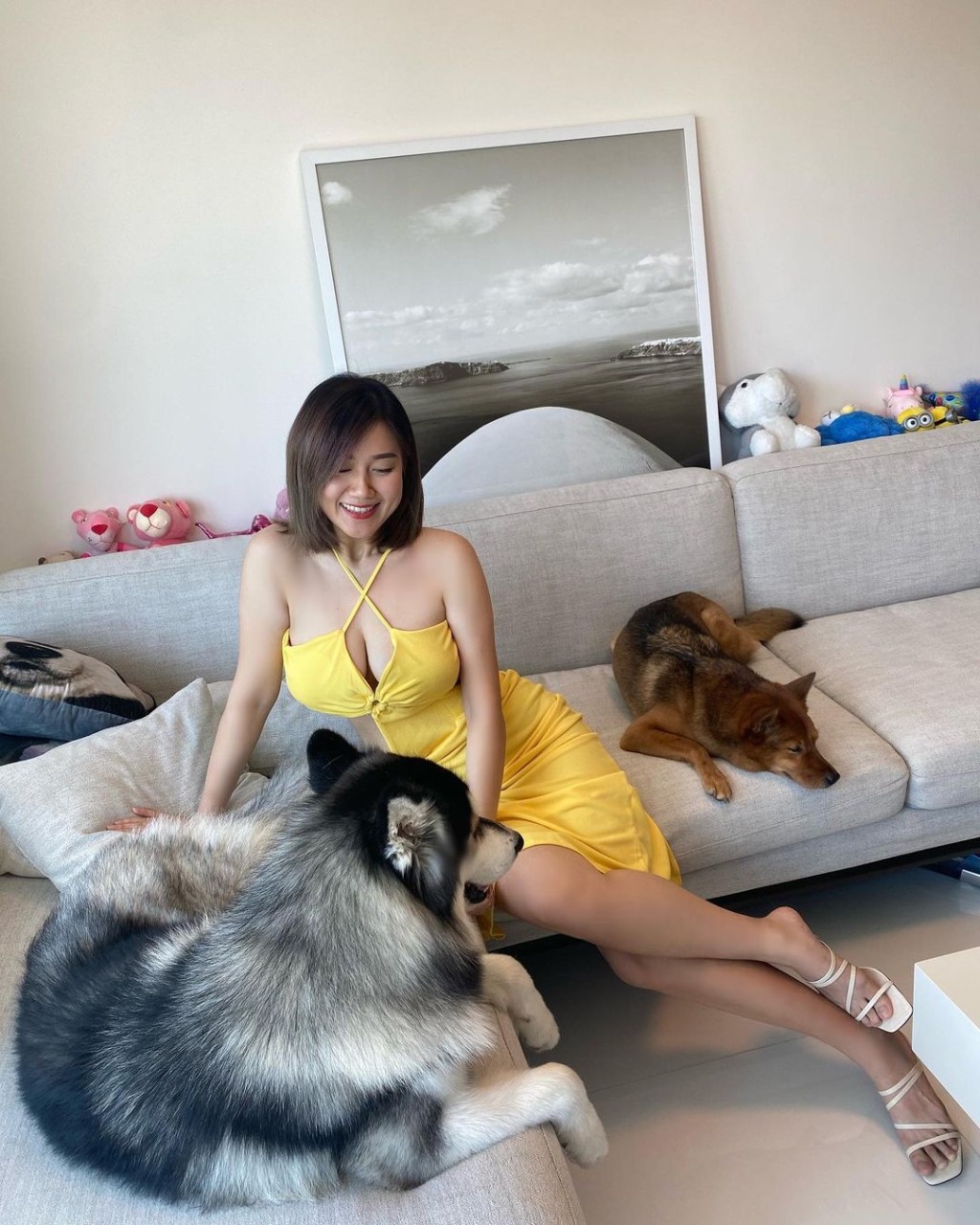 白云凑狗好开心。