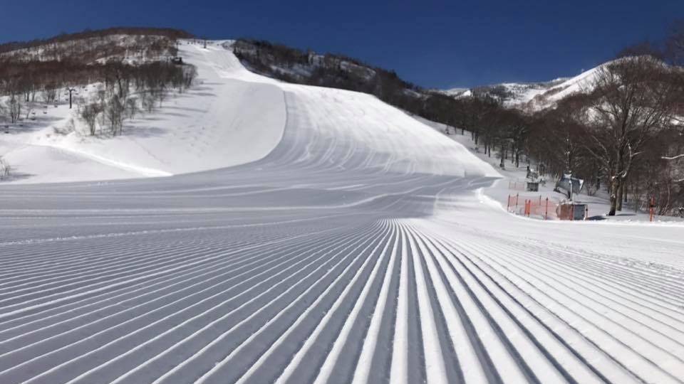 报道指，死者所在位置的滑雪道禁止游客使用。示意图。社交平台Ｘ