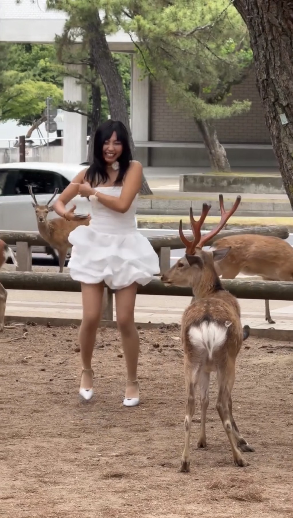 奈良鹿顶开女子，她只好尴尬笑。 IG/japanmoments.jp