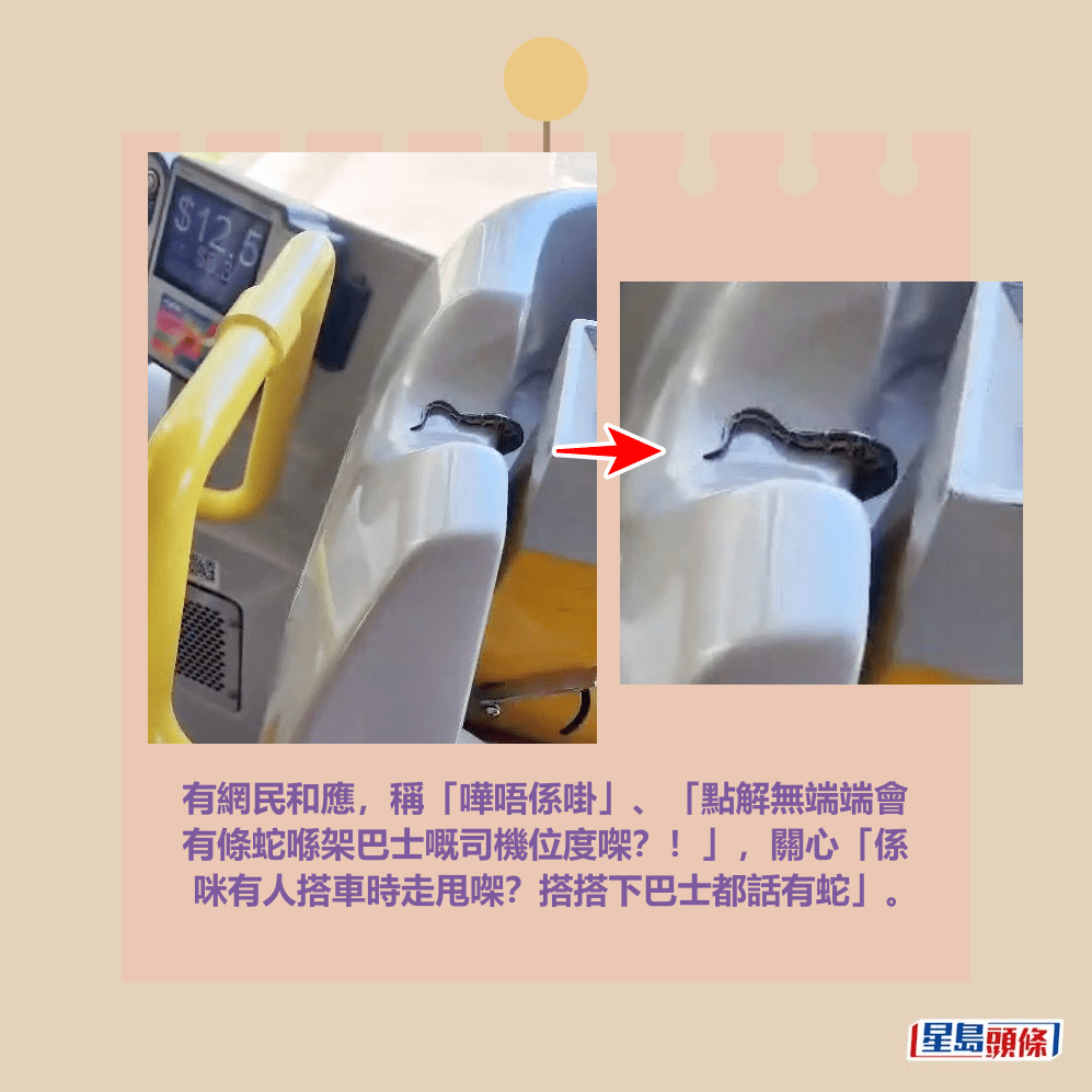 有網民和應，稱「嘩唔係啩」、「點解無端端會 有條蛇喺架巴士嘅司機位度㗎？！」，關心「係 咪有人搭車時走甩㗎？搭搭下巴士都話有蛇」。Threads截圖