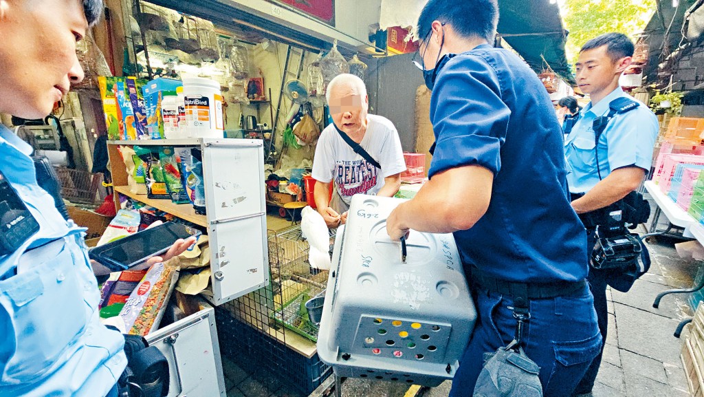 愛護動物協會在檔主協助下，帶走疑被虐待的鸚鵡。	
