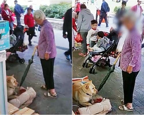 影片截圖