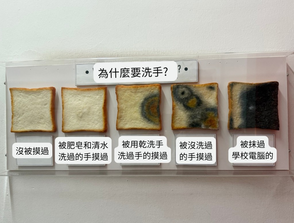 被不同乾淨程度的手觸碰，麵包發霉程度大不同。（圖片來源：Facebook專頁「傑足先登 傑登醫師」）