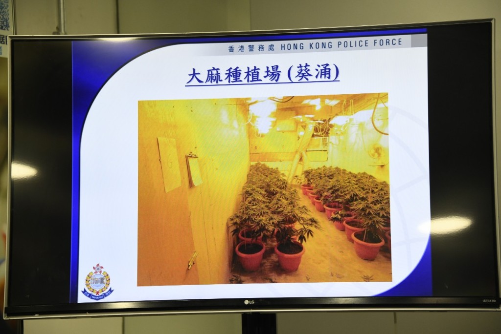警方在葵涌工廈搗破大麻種植場。