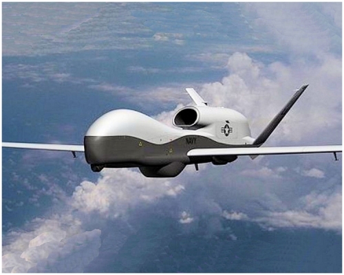 「環球鷹」(RQ-4 Global Hawk)。網上圖片