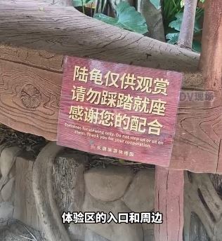 现场已有善待陆龟的告示牌。