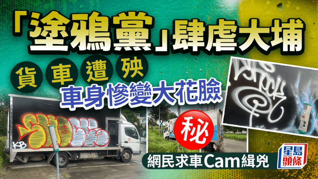 「塗鴉黨」肆虐大埔 貨車遭殃車身慘變大花臉 網民求車Cam緝兇