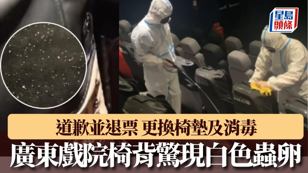 座椅驚現白色蟲卵蠕動，戲院向女觀眾道歉並退票。
