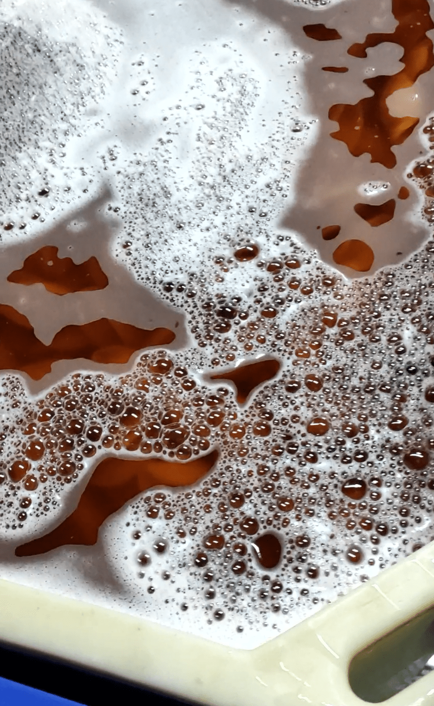 浸「鮑片」（螺片）的水槽水面聚滿白色泡沫，散發出類似洗衣粉的味道。