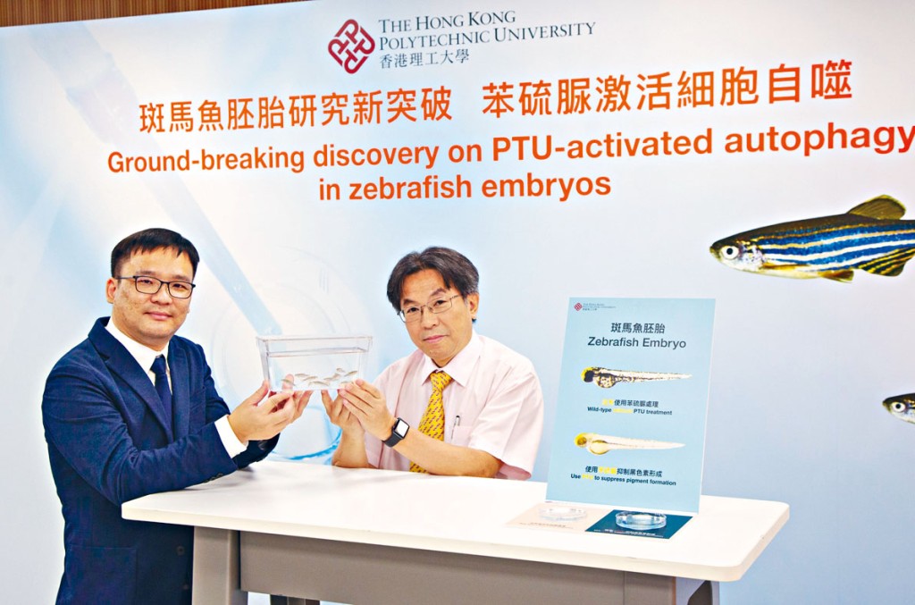 葉社平（右）透露，新發現將收錄於針對自噬研究的最新國際指引之中，馬進恒（左）已獲邀參與共同制定新指引。