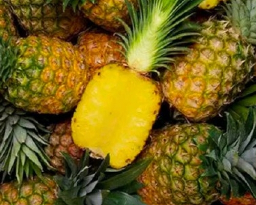 大陸下月起暫停進口台灣菠蘿。