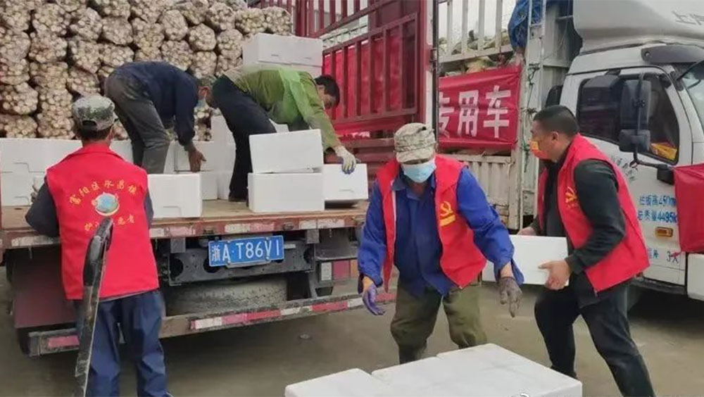 杭州連續10天每日5萬公斤早筍馳援上海。