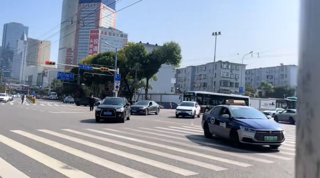 濟南街頭出現一棵外形似暴龍的恐龍樹。抖音