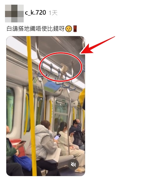 Threads截圖（資料來源：c_k.720＠Threads）