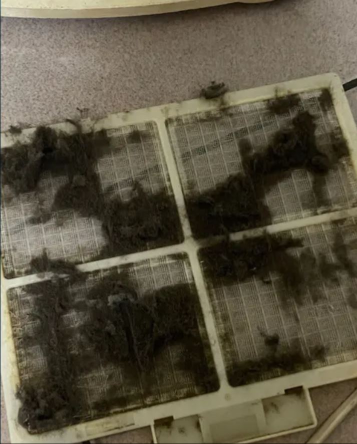 有台灣網民曾在論壇分享，用牙線棒清理抽濕機的溝槽，竟挖出宛如小山一樣的「灰塵條」。(網上圖片)