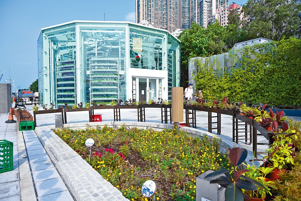 位於堅尼地城海傍的堅．農圃，是大家體驗綠色耕種生活的好地方。